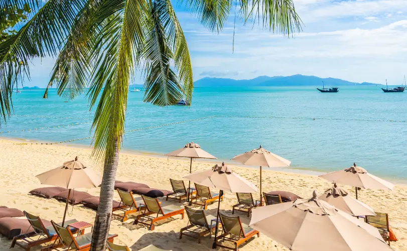 Industrial Secrets: Hidden Gems in Singapore's Gritty Industrial ... - Hidden Gem Industrial Apartment With Peaceful Ambiance